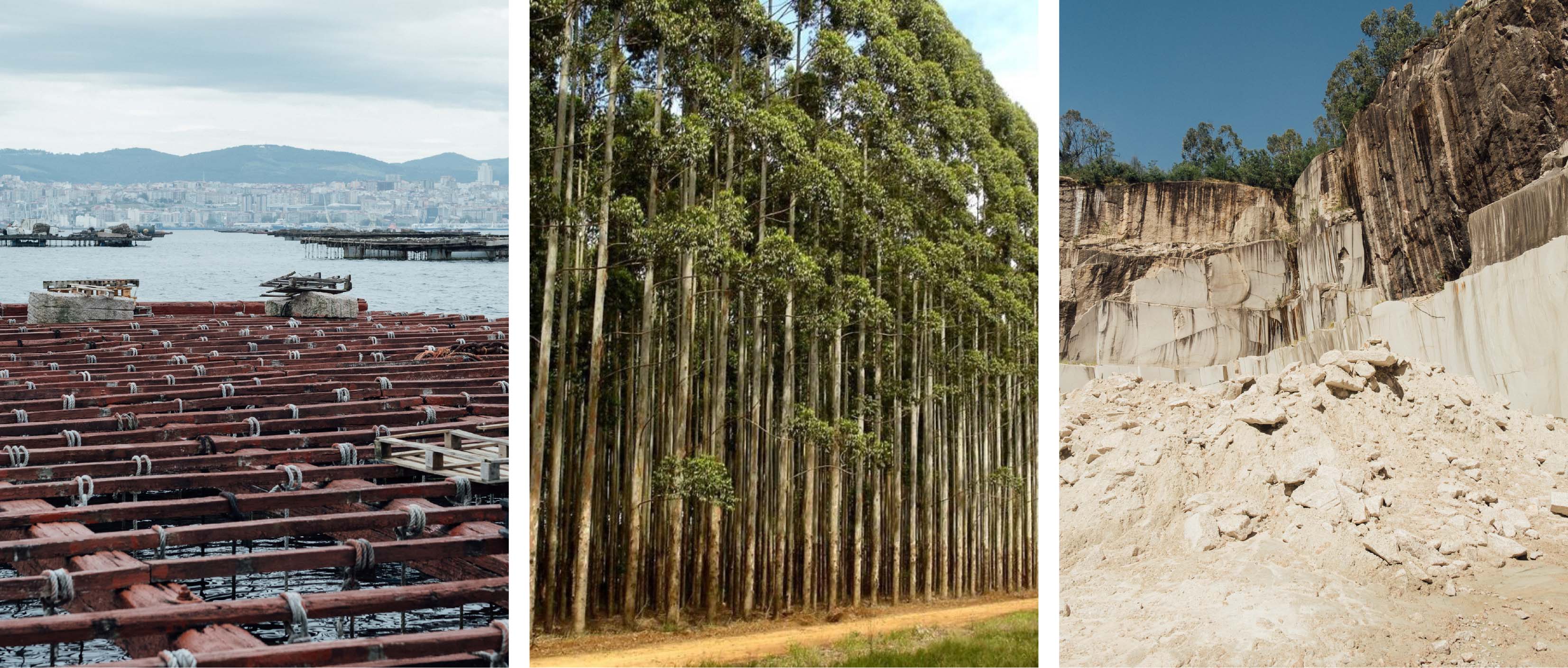 Imagen del Proyecto 4