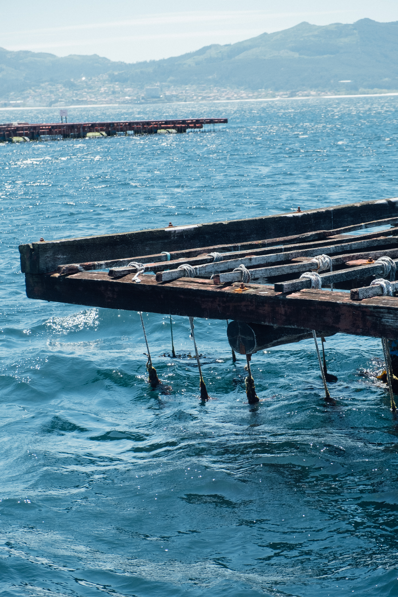 Imagen del Proyecto 4