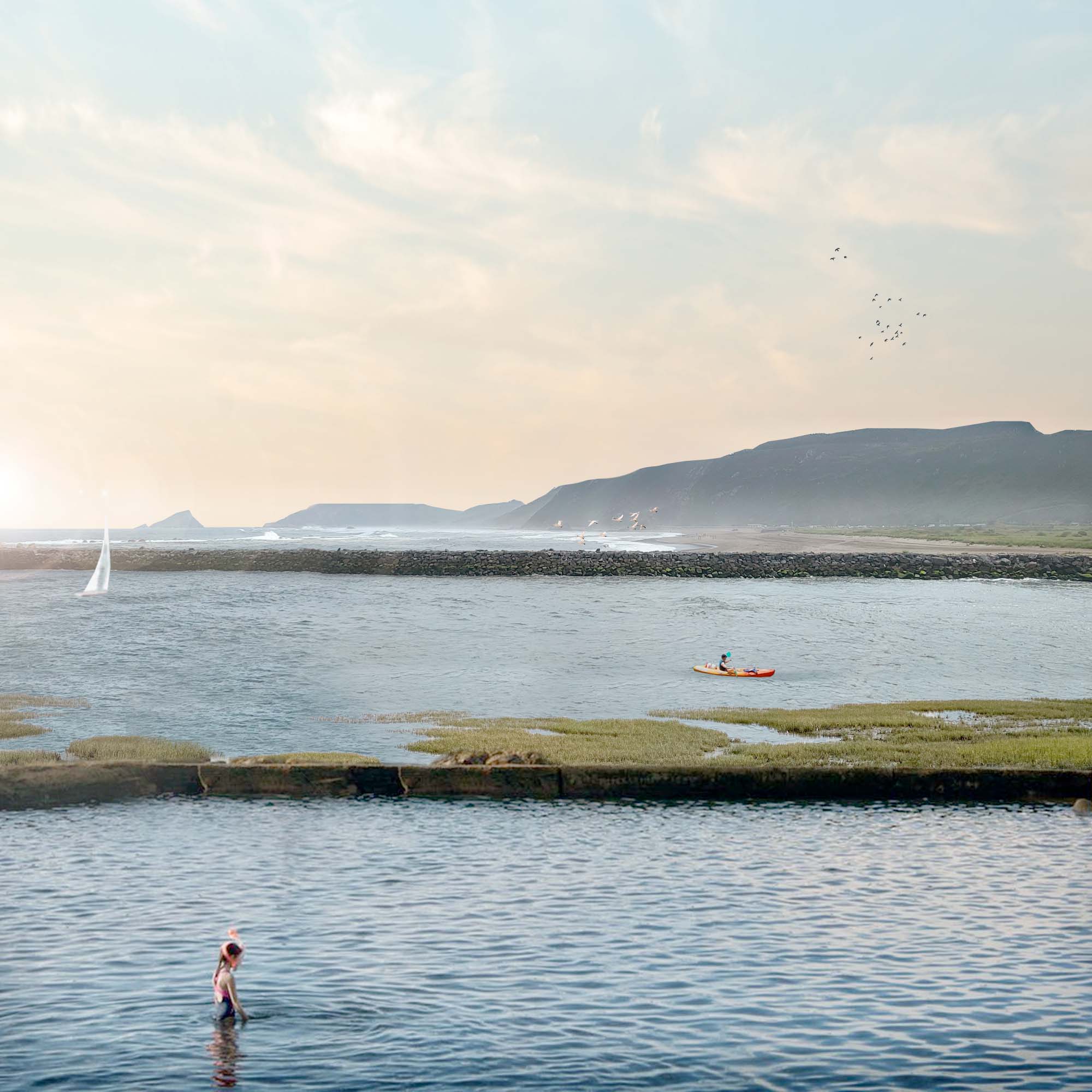 Imagen del Proyecto 8