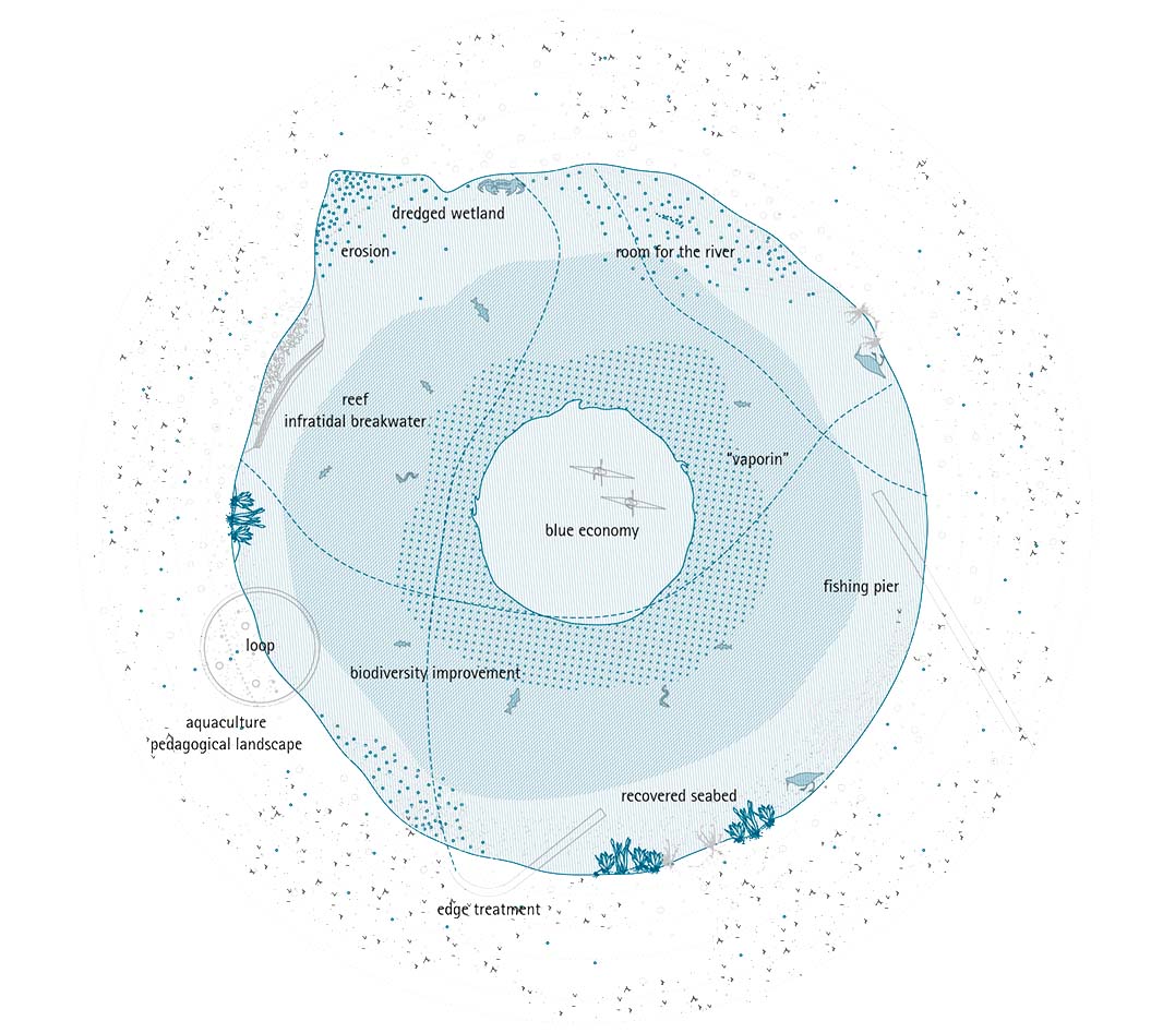 Imagen del Proyecto 8